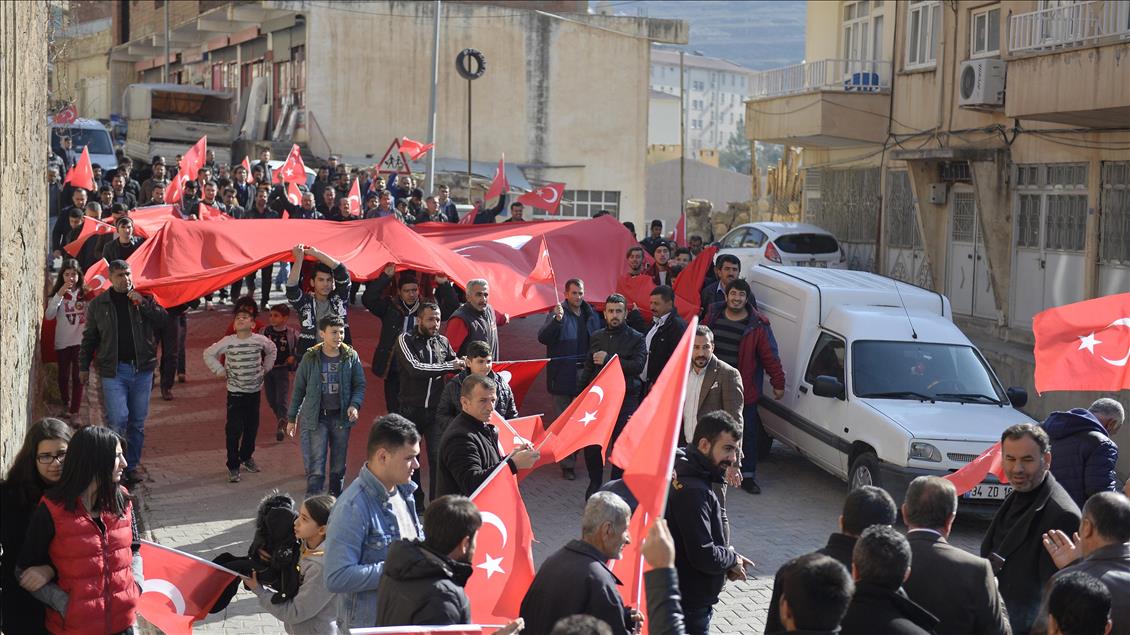 Mardin'de Zeytin Dalı Harekatı'na destek yürüyüşü
