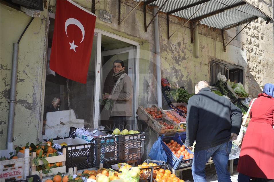 Mardin'de Zeytin Dalı Harekatı'na destek yürüyüşü

