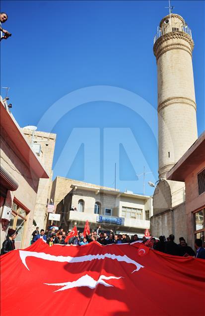 Mardin'de Zeytin Dalı Harekatı'na destek yürüyüşü
