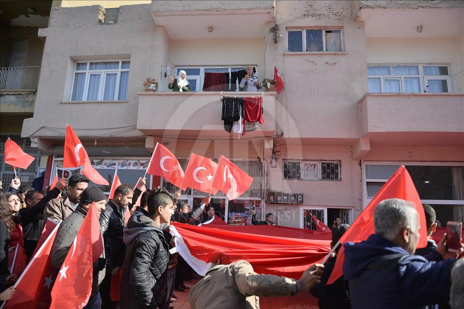Mardin'de Zeytin Dalı Harekatı'na destek yürüyüşü
