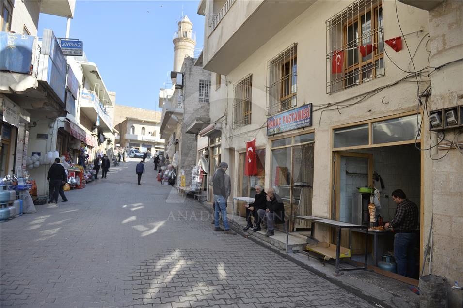 Mardin'de Zeytin Dalı Harekatı'na destek yürüyüşü

