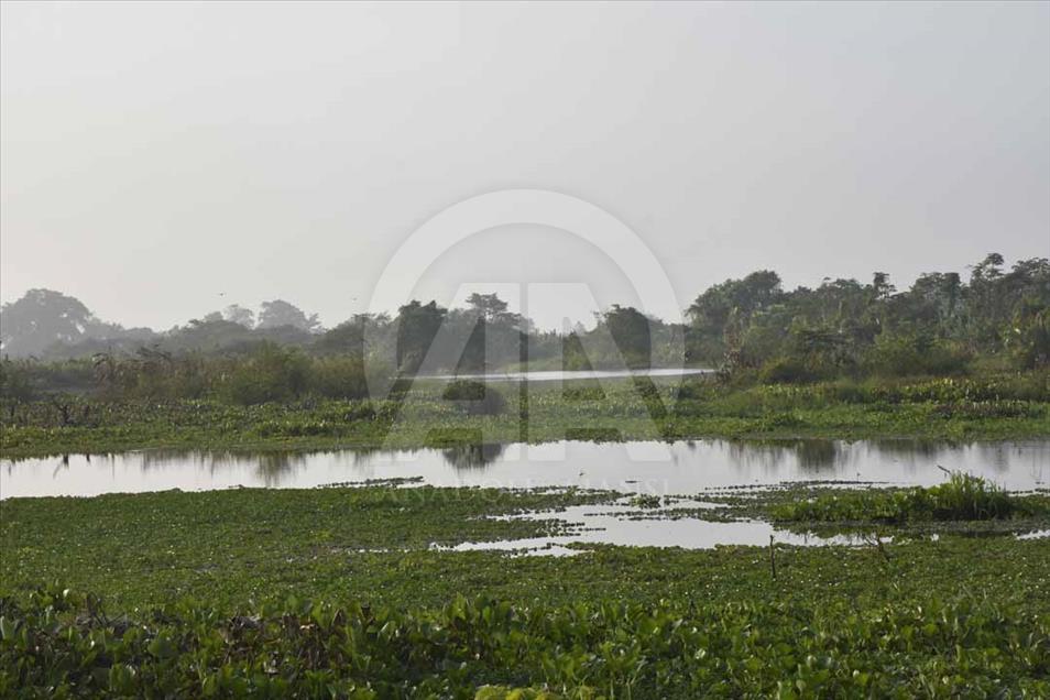 Colombia: ciénaga de Ayapel, nuevo humedal de importancia internacional