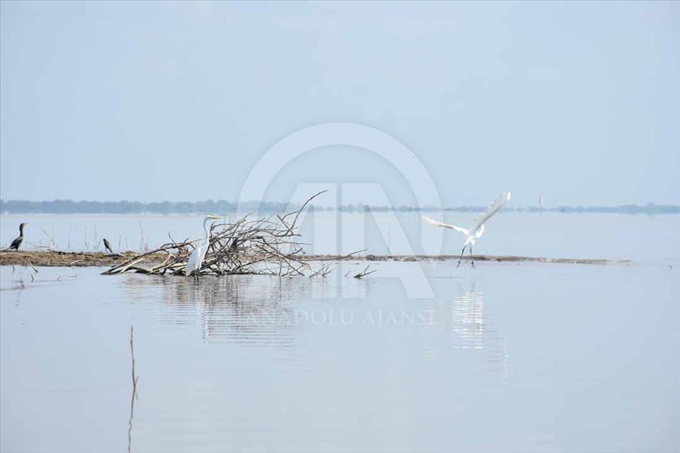 Colombia: ciénaga de Ayapel, nuevo humedal de importancia internacional