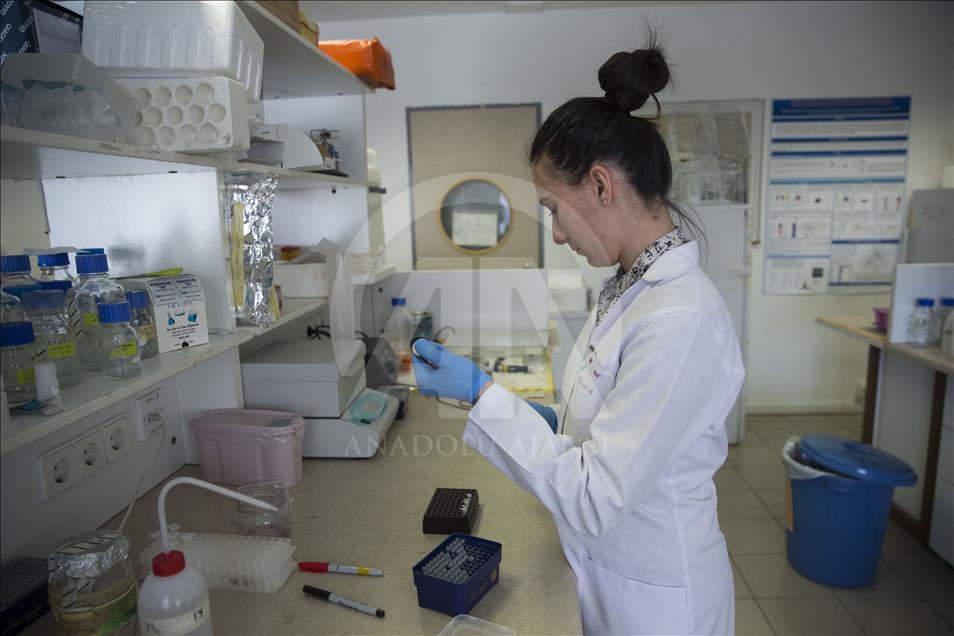 Türk bilim kadınları kansere neden olan genleri araştırıyor