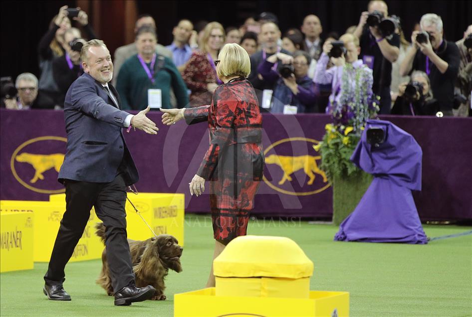 142. Westminster Kennel Club Köpek Şovu
