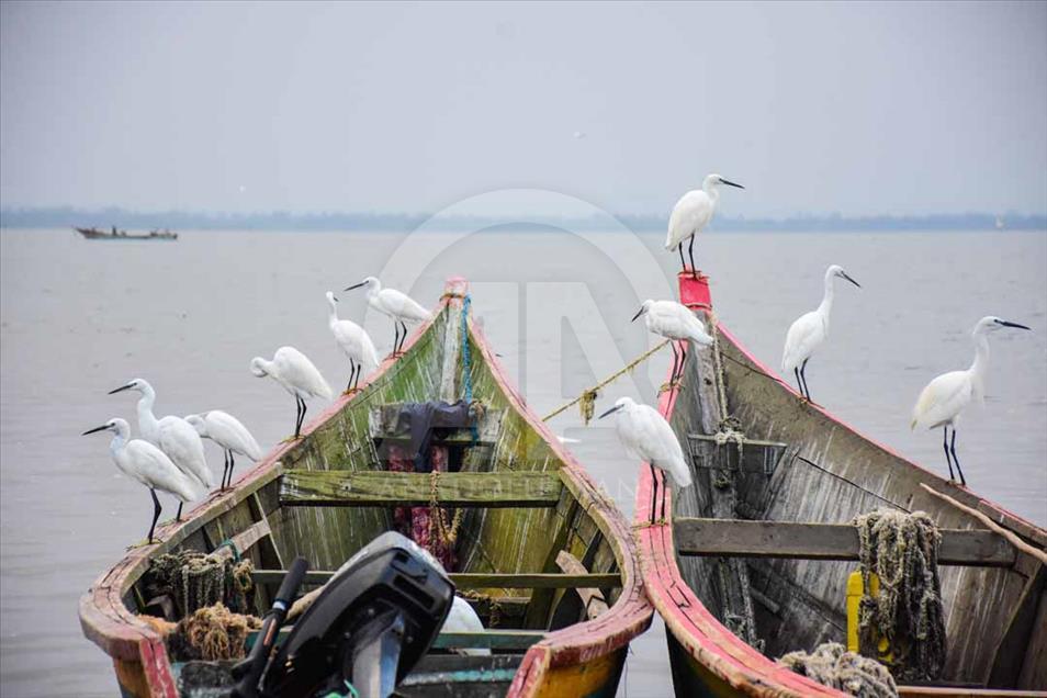 La vida de los pescadores en la isla de Migingo, en disputa entre Kenia y Uganda