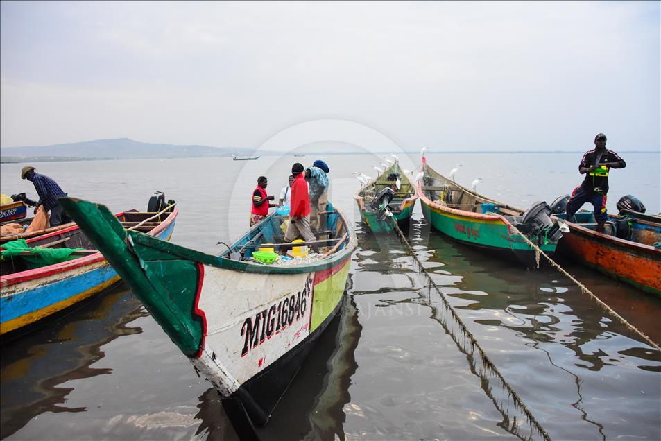 Kenya ve Uganda'nın Migingo Adası anlaşmazlığının mağduru balıkçılar