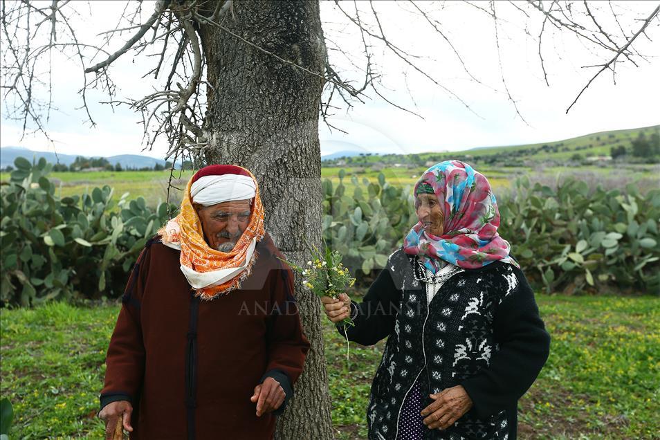 Tunizi, martesa 70 vjeçare e çiftit të moshuar frymëzim për të rinjtë