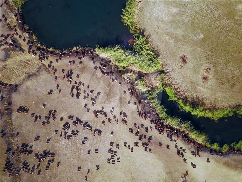 Ağrı Dağı Milli Parkı her mevsim ayrı güzel