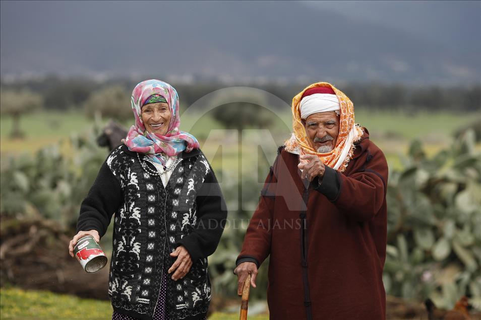 Tunizi, martesa 70 vjeçare e çiftit të moshuar frymëzim për të rinjtë