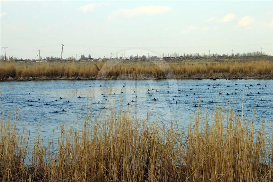 El Parque Nacional del Monte Ararat es hermoso en cada estación