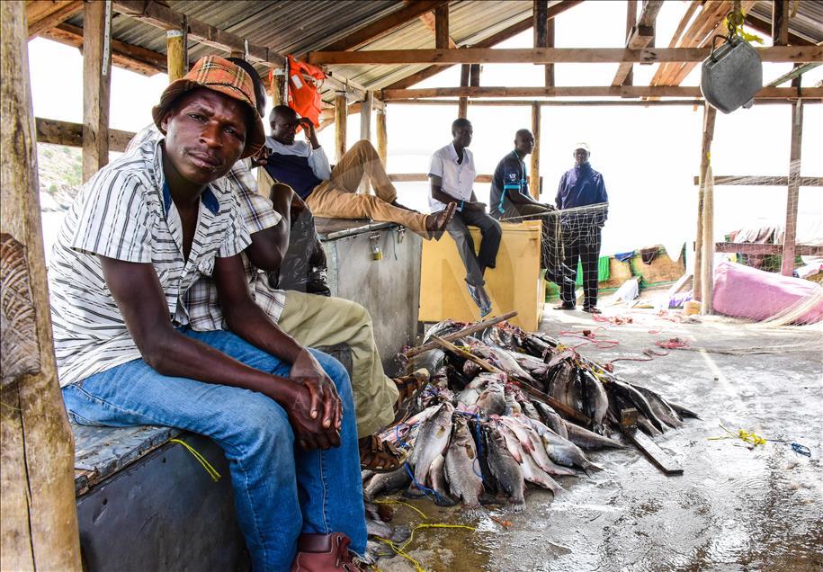 Kenya ve Uganda'nın Migingo Adası anlaşmazlığının mağduru balıkçılar