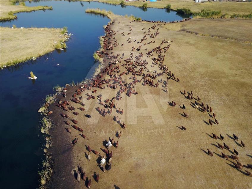 El Parque Nacional del Monte Ararat es hermoso en cada estación