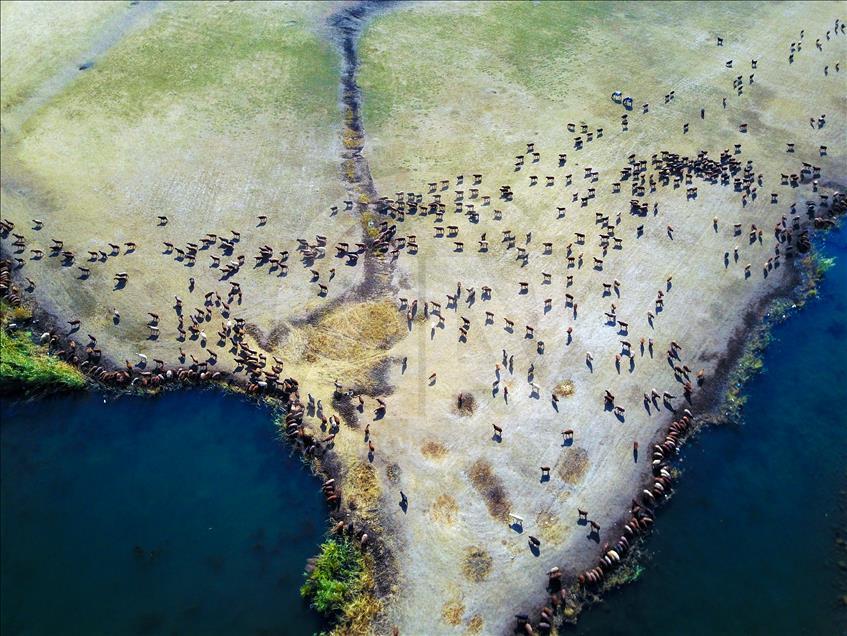Ağrı Dağı Milli Parkı her mevsim ayrı güzel