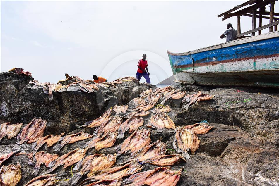 Kenya ve Uganda'nın Migingo Adası anlaşmazlığının mağduru balıkçılar