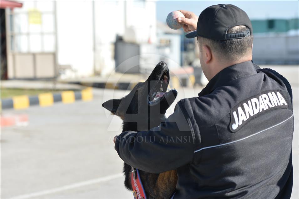 Terör ve uyuşturucuyla mücadelenin "keskin burunları"