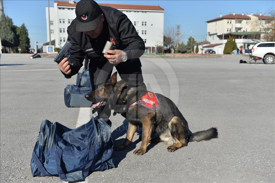 Terör ve uyuşturucuyla mücadelenin "keskin burunları"