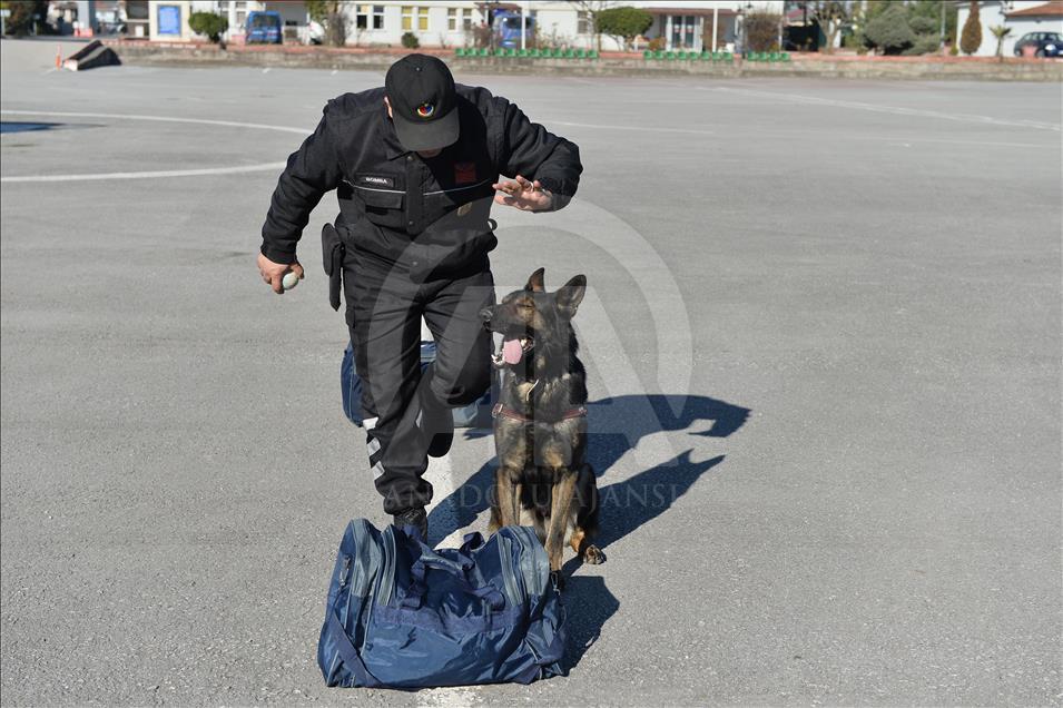 Terör ve uyuşturucuyla mücadelenin "keskin burunları"