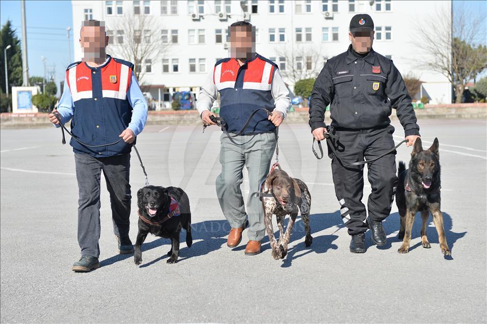 Terör ve uyuşturucuyla mücadelenin "keskin burunları"