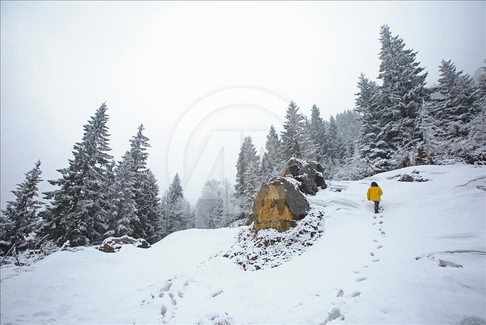 Yaylalardaki kar yağışı fotoğrafçıların ilgi odağı