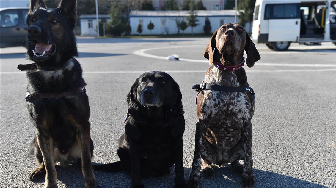 Terör ve uyuşturucuyla mücadelenin "keskin burunları"