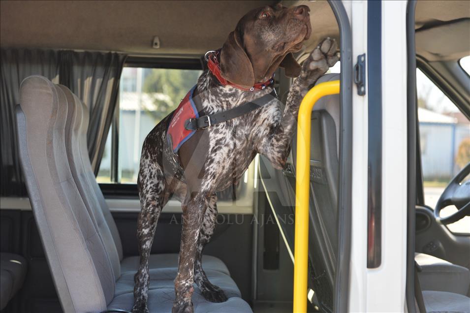 Terör ve uyuşturucuyla mücadelenin "keskin burunları"