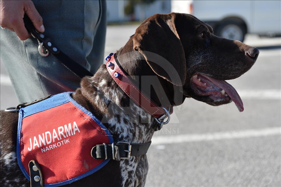 Terör ve uyuşturucuyla mücadelenin "keskin burunları"