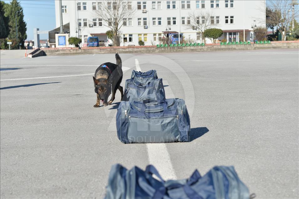 Terör ve uyuşturucuyla mücadelenin "keskin burunları"
