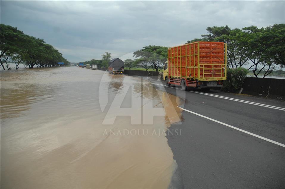 Residents; flood; rescue; dog; village; Danareja; Brebes; Central Java; homes; agricultural lands; heavy rain; Cisanggarung river floods; deforestation