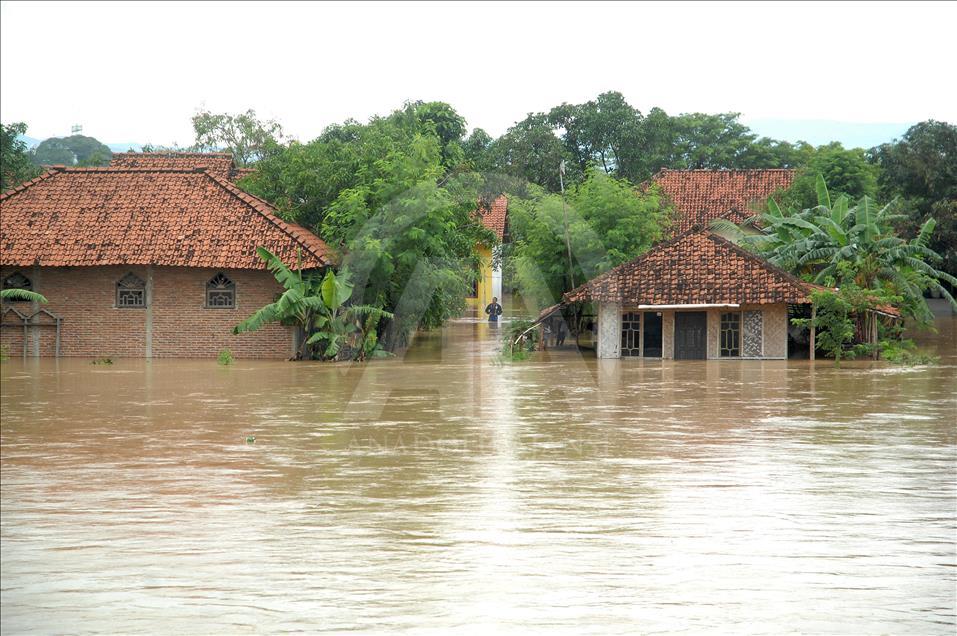 Residents; flood; rescue; dog; village; Danareja; Brebes; Central Java; homes; agricultural lands; heavy rain; Cisanggarung river floods; deforestation
