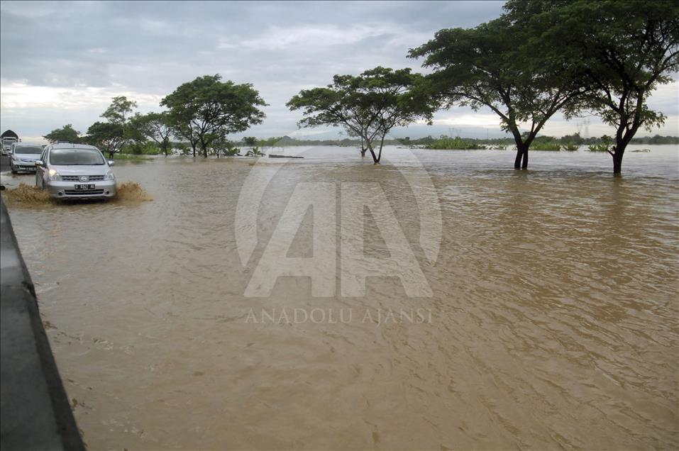 Residents; flood; rescue; dog; village; Danareja; Brebes; Central Java; homes; agricultural lands; heavy rain; Cisanggarung river floods; deforestation