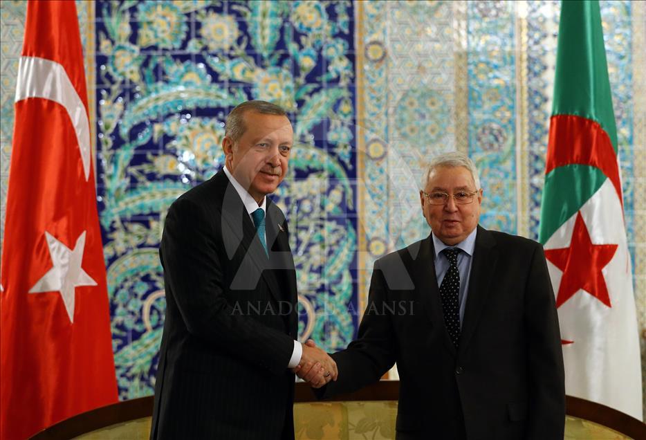 الرئيس التركي رجب طيب أردوغان يصل الجزائر في أول محطات جولته الإفريقية