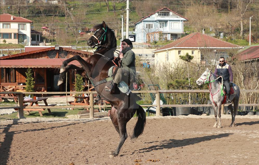 Binicilik sporuna merakları iş kapısı odu