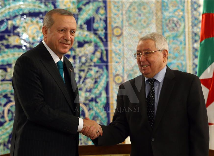 الرئيس التركي رجب طيب أردوغان يصل الجزائر في أول محطات جولته الإفريقية
