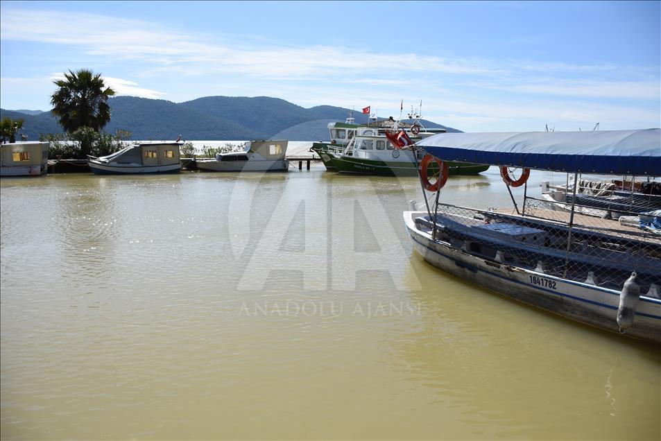 Muğla'da Gökova Körfezi'nin rengi değişti