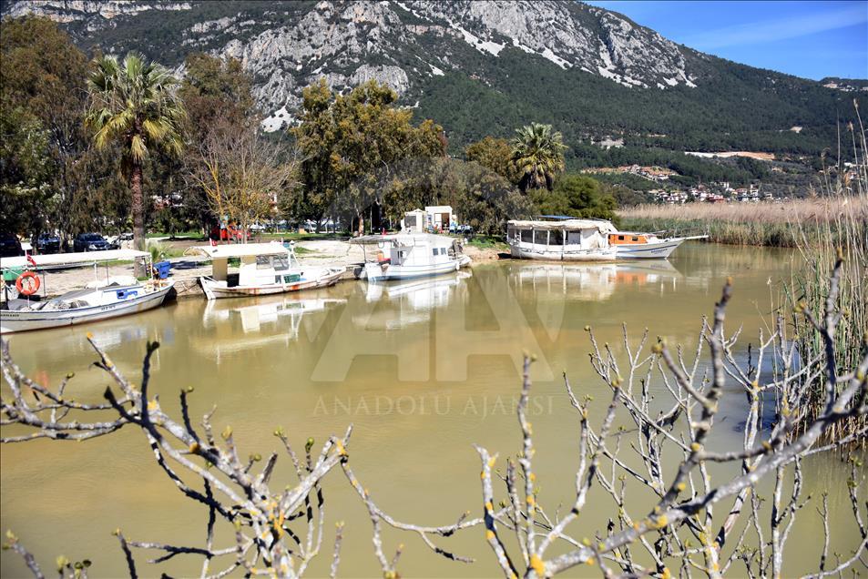 Muğla'da Gökova Körfezi'nin rengi değişti
