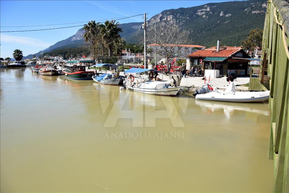 Muğla'da Gökova Körfezi'nin rengi değişti