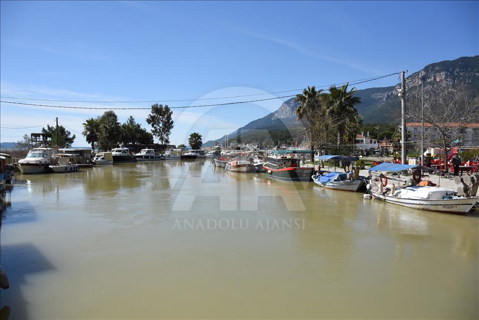 Muğla'da Gökova Körfezi'nin rengi değişti