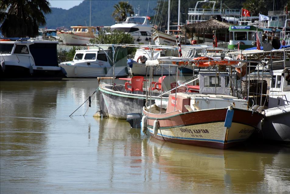 Muğla'da Gökova Körfezi'nin rengi değişti
