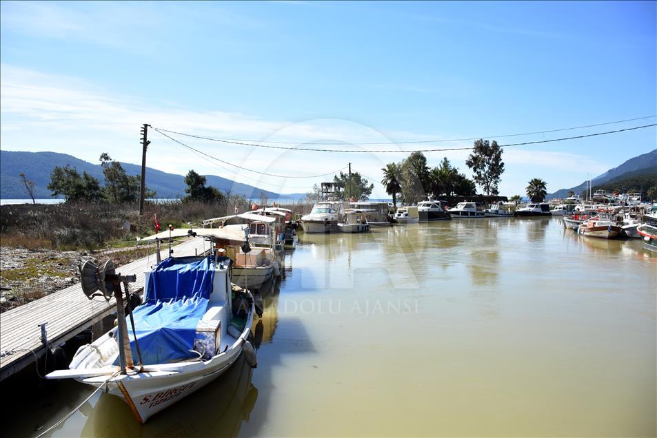 Muğla'da Gökova Körfezi'nin rengi değişti