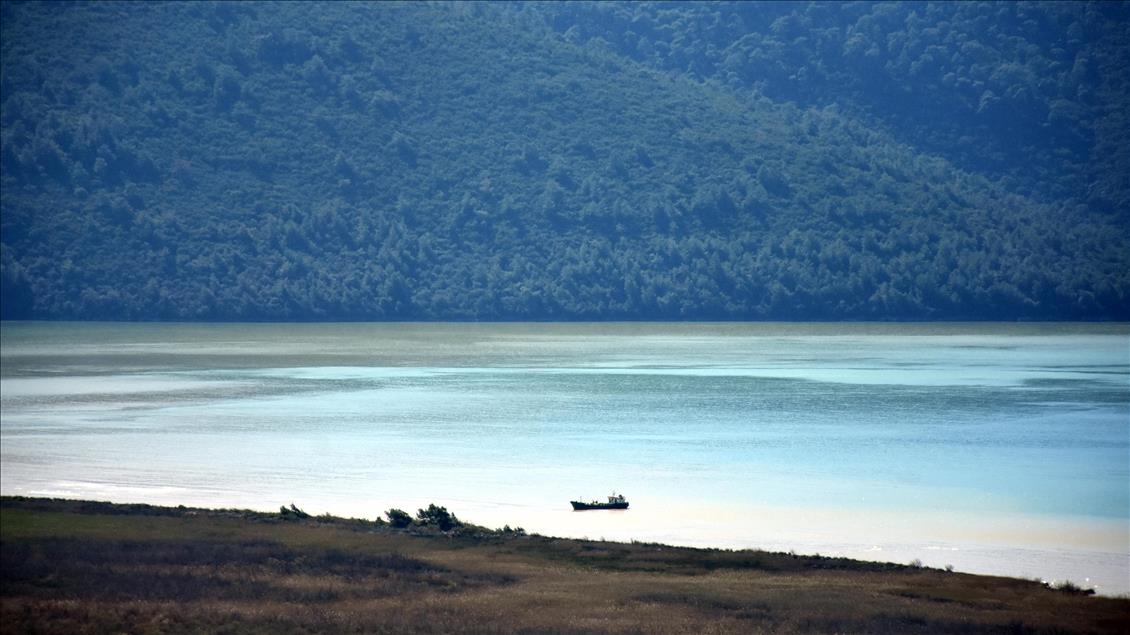 Muğla'da Gökova Körfezi'nin rengi değişti