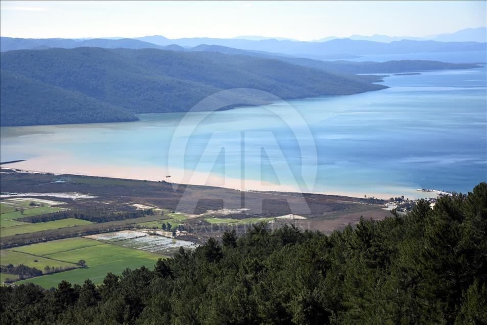 Muğla'da Gökova Körfezi'nin rengi değişti