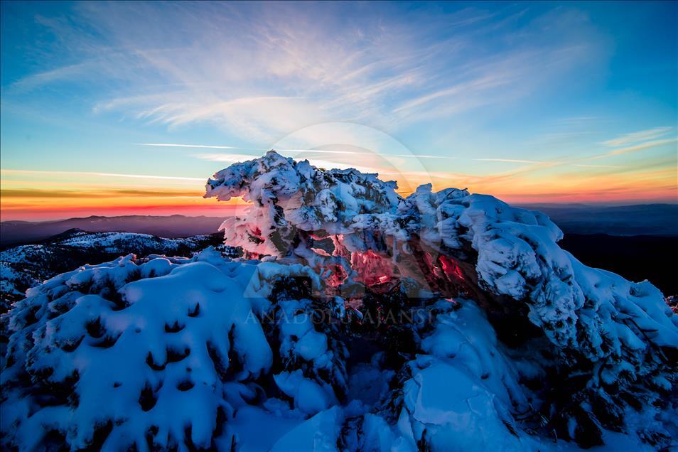 Doğa tutkunlarının yeni gözdesi Murat Dağı
