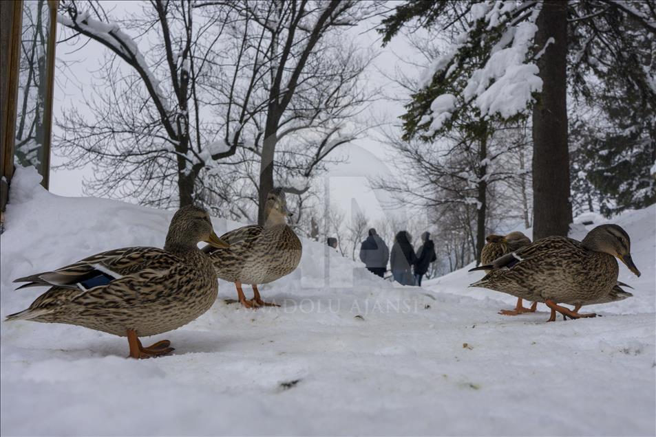 Winter in Bosnia and Herzegovina