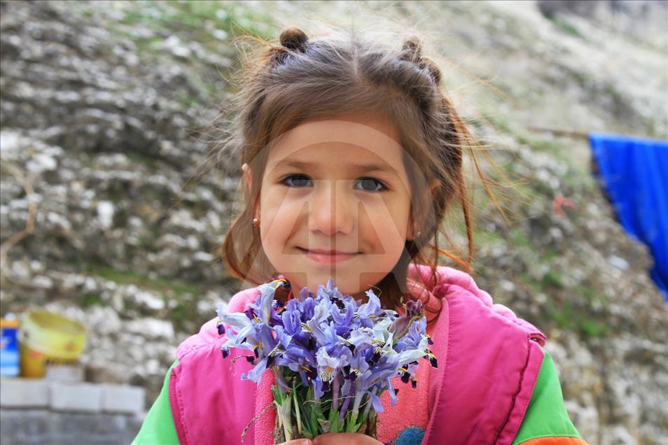 Baharın müjdecisi nevruz çiçekleri açtı