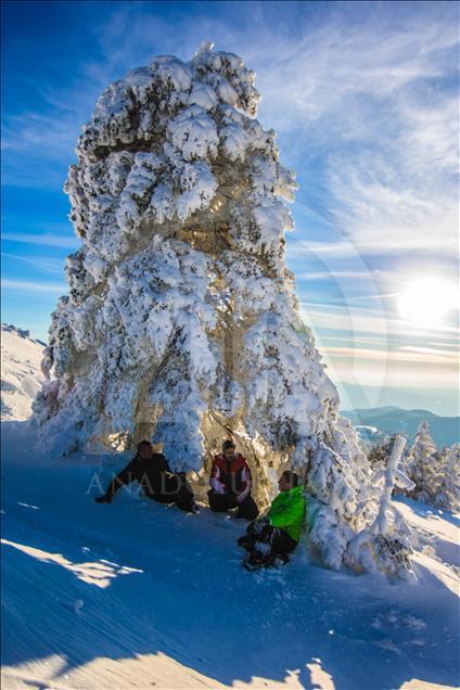 Doğa tutkunlarının yeni gözdesi Murat Dağı
