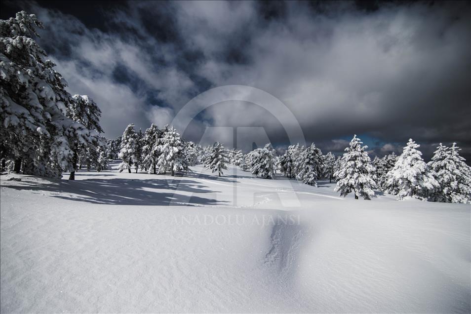 Doğa tutkunlarının yeni gözdesi Murat Dağı
