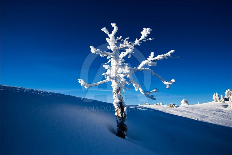 Doğa tutkunlarının yeni gözdesi Murat Dağı
