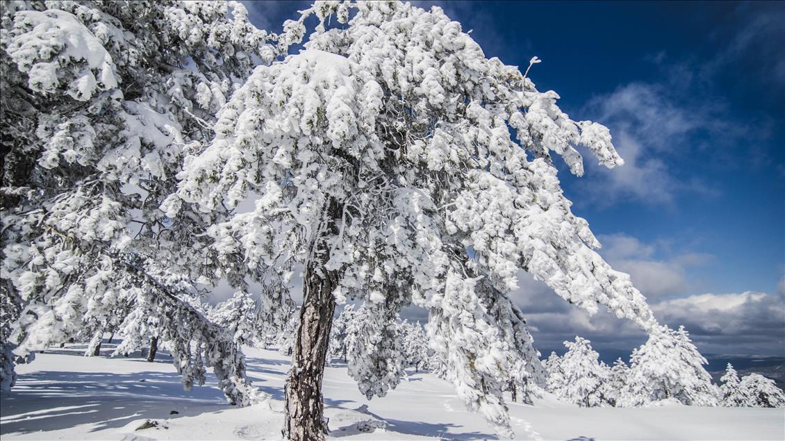 Doğa tutkunlarının yeni gözdesi Murat Dağı
