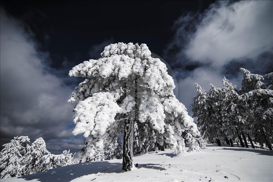 Doğa tutkunlarının yeni gözdesi Murat Dağı

